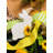 10 in. Fabric Shatterproof Ribbon