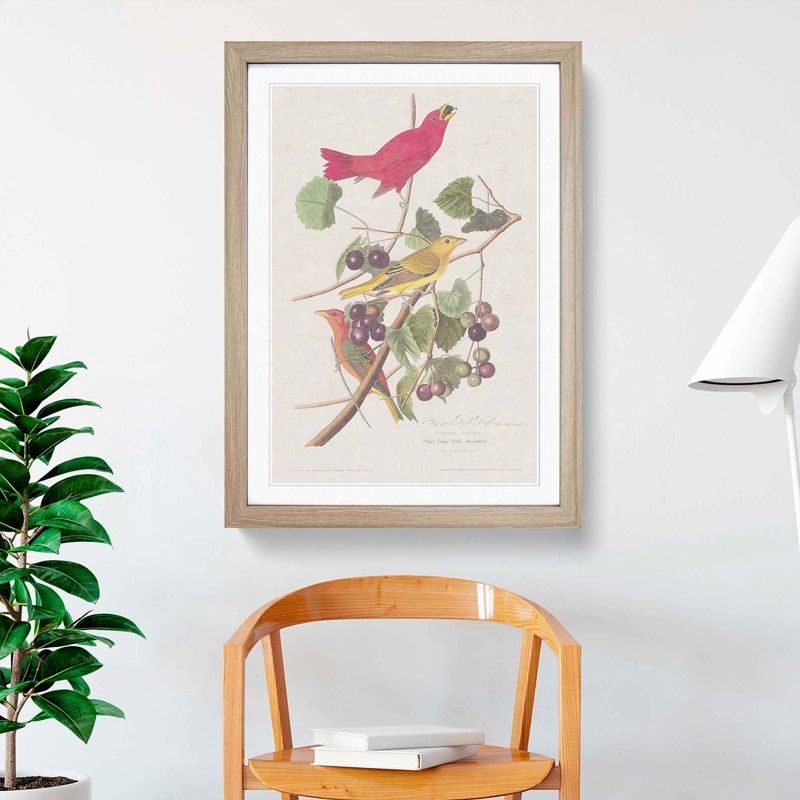 Summer Red Birds by John Audubon - Picture Frame Painting Print, 48cm H x 36cm W x 2cm D, Oak Framed