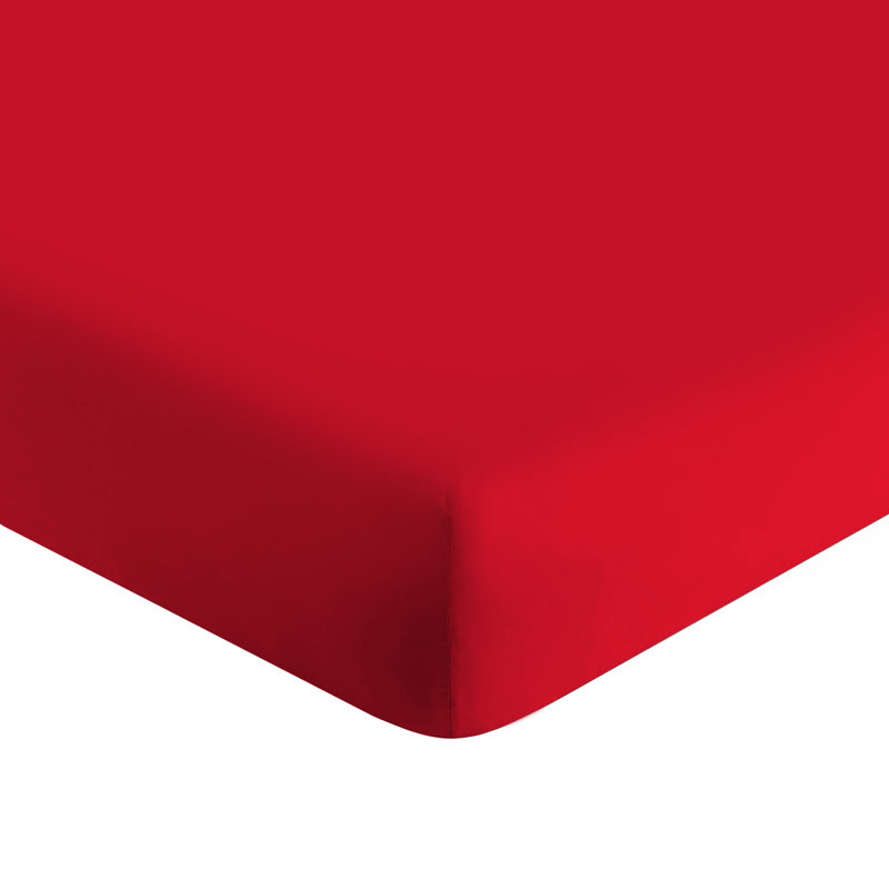 Extra Deep 200 Thread Count 100% Brushed Cotton Fitted Sheet, Single (3'), Red
