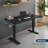 47.25” W Electric Standing Desk, Height Adjustable Sit-to-Stand Desk with 3 Memory Presets and Dual Accessory Hooks-1073295707