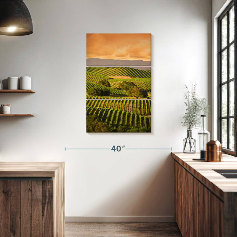 Alvord Carneros Vineyard, H 38 po x l 24 po