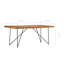 Ancheta Mango Rectangular Wood Top Dining Table-1576631949