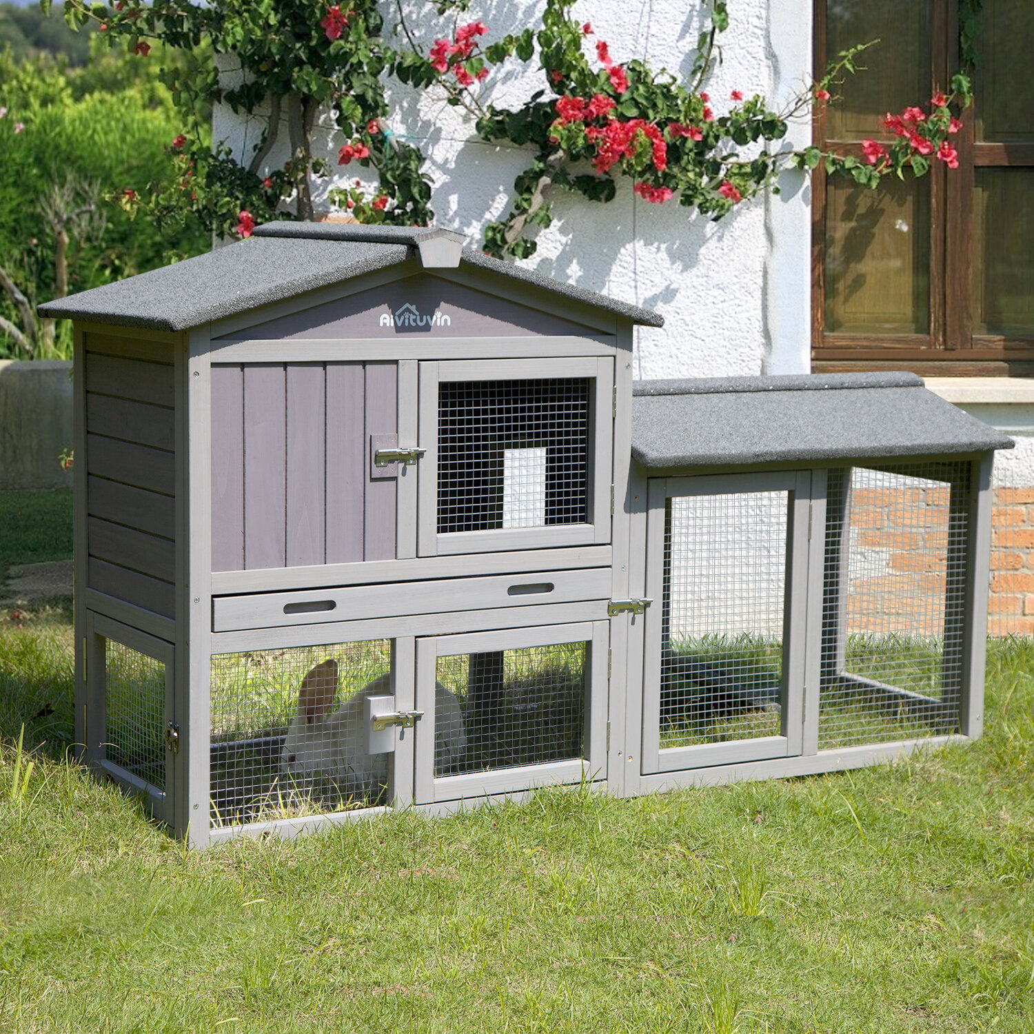 Hutch with run shop attached