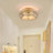 3-Light 18.31" Crystal Flush Mount Ceiling Light-1492529423