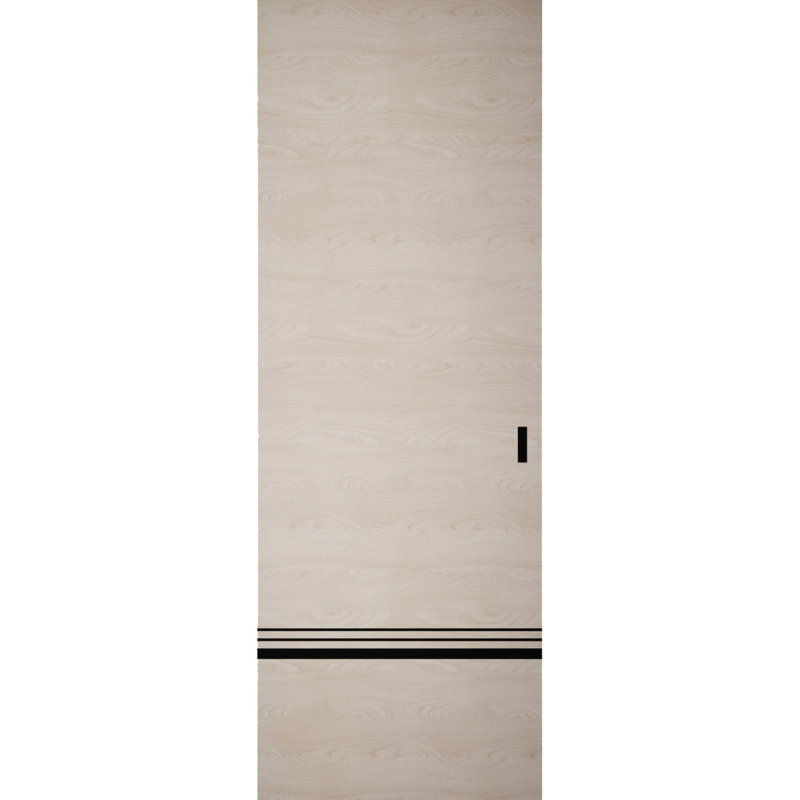 Grange cachée | Planum 0012 | Portes robustes à finition robuste et modernes | Ensemble coulissant Magic, 42 po x 96 po