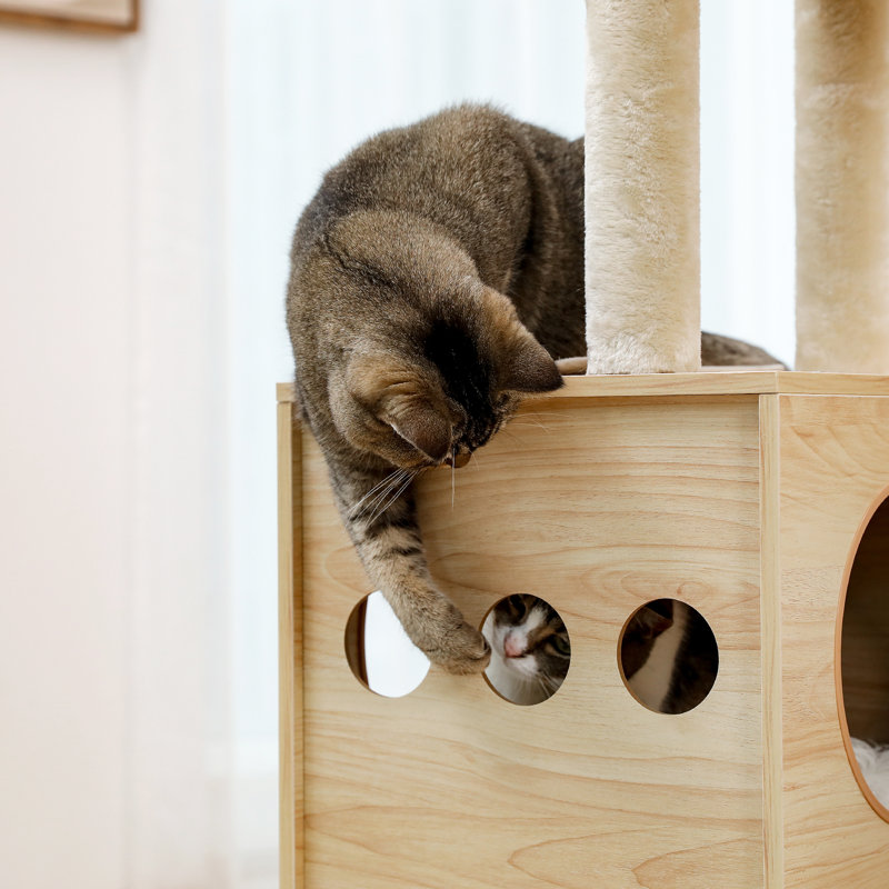 Biff 50" Cat Tree Tower for Indoor Cats,Multi-Level Cat Tower,Cat Condo for Large Cats,Sky Castle with 2 Cozy Cat Condos