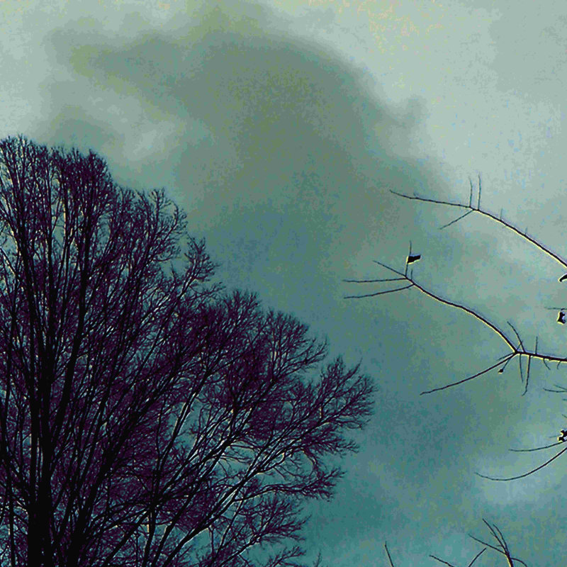 Nocturne II, H 12 po x l 12 po x P 1,25 po