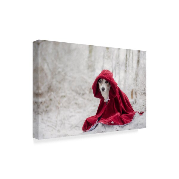 Trademark Art Little Red Riding Hood 1 On Canvas by Heike Willers Print ...
