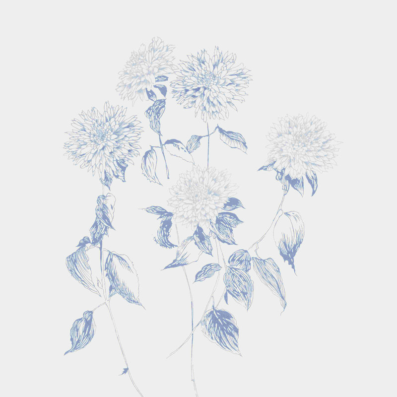 «Flowers on White VI Blue» par Wild Apple Portfolio - impression, H 30 po x l 30 po, Toile tendue