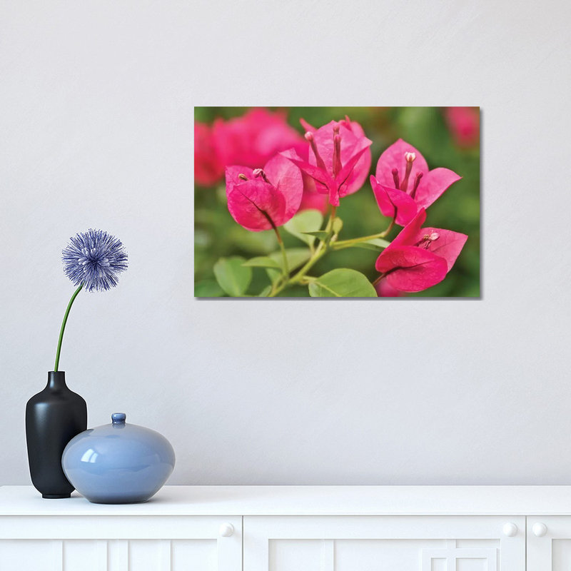 Pink Flowers 1 Piece Wrapped Canvas Wall Art, 30.48cm H x 45.72cm W x 1.905cm D