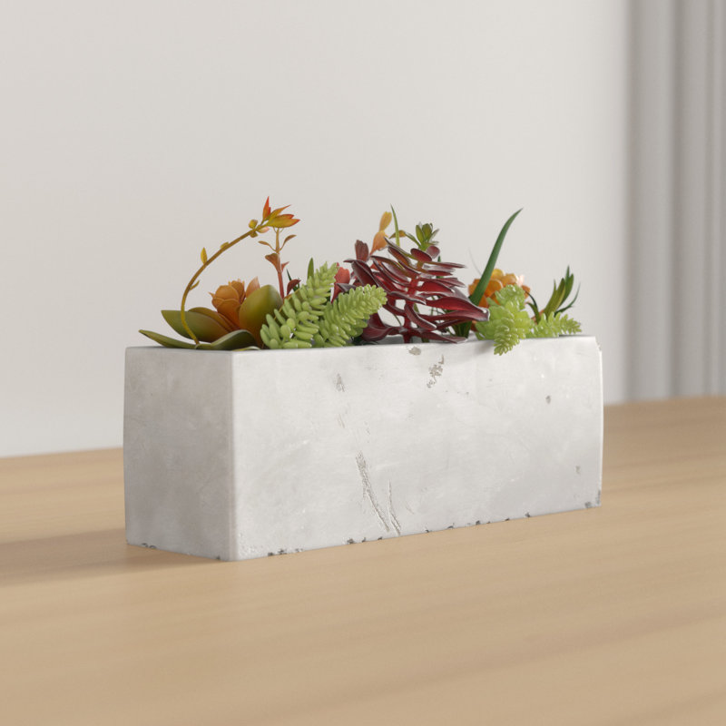 Sydnee 19cm Succulent in Cement Planter