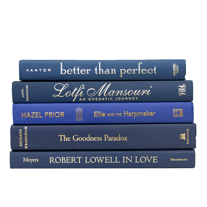 Modern Denim & Gold Book Stack, S/5