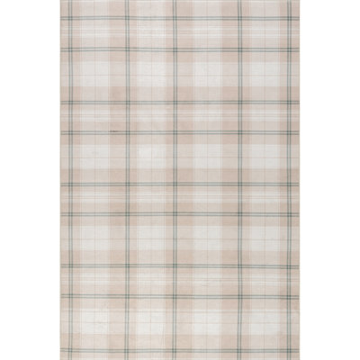 Safah SplashGuard Rustic Machine Washable Area Rug