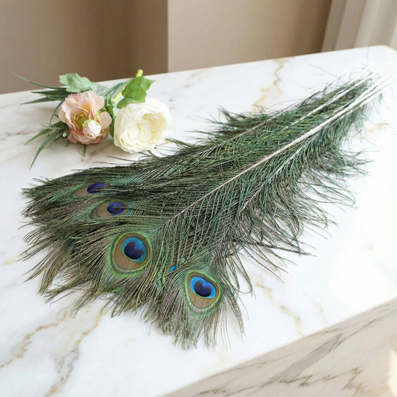Natural 23-28'' Long Peacock Feathers (40-pack)