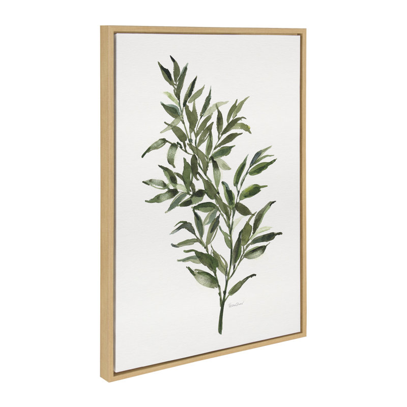 «Ruscus» par Patricia Shaw, reproduction d'art sur toile encadrée, Encadré naturel, H 24 po x l 18 po x P 1,62 po