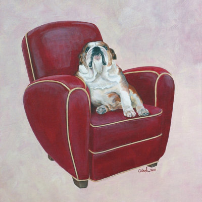 Bouledogue sur rouge