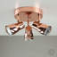 Faustina Spotlight-17228502