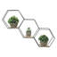 Lonetta 3 Piece Hexagon Tiered Shelf