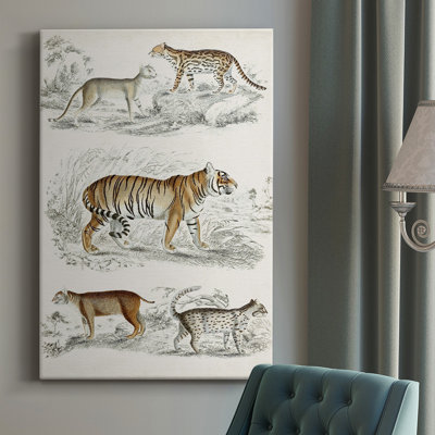 Journal of Natural History I - peinture sur toile tendue