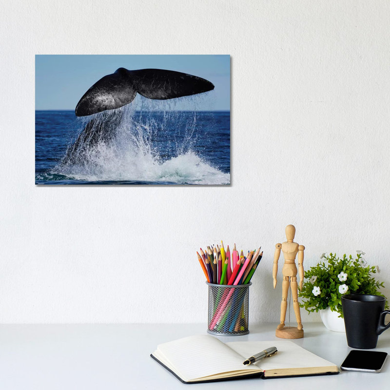 Southern Right Whale Tail Slapping, Peninsula Valdez, Argentina II 1 Piece Wrapped Canvas Wall Art, 20.32 cm H x 30.48 cm W