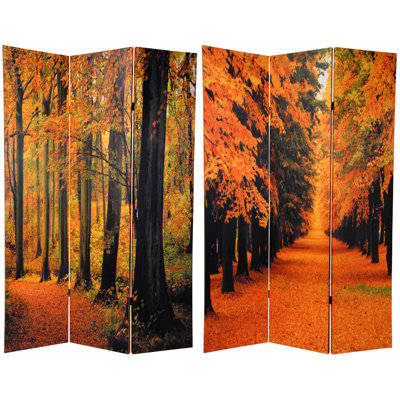 Paravent Autumn Woods