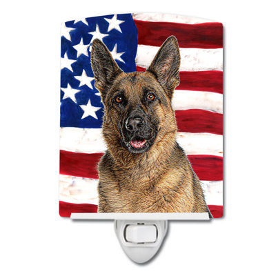 Drapeau américain avec éclairage en céramique terrier fox american