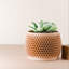 8 po Pot de fleurs Honeycomb-137721282-137721286