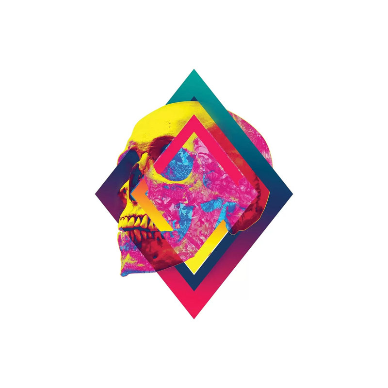 Lifeful Skull I by Ali Gulec - Wrapped Canvas Gallery-Wrapped Canvas Giclée, 101.6 cm H x 66.04 cm W x 1.91 cm D