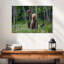 Brampt Grizzly Bear Group-108815747