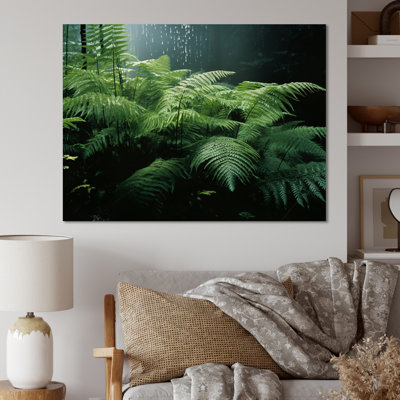 " Ferns Close Up II "