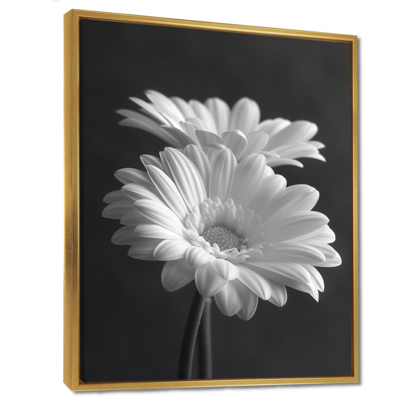 Monochromes noir et blanc «Bliss Daisy Photo I» - impression d'art mural marguerites, Métal métal, H 16 po x l 32 po