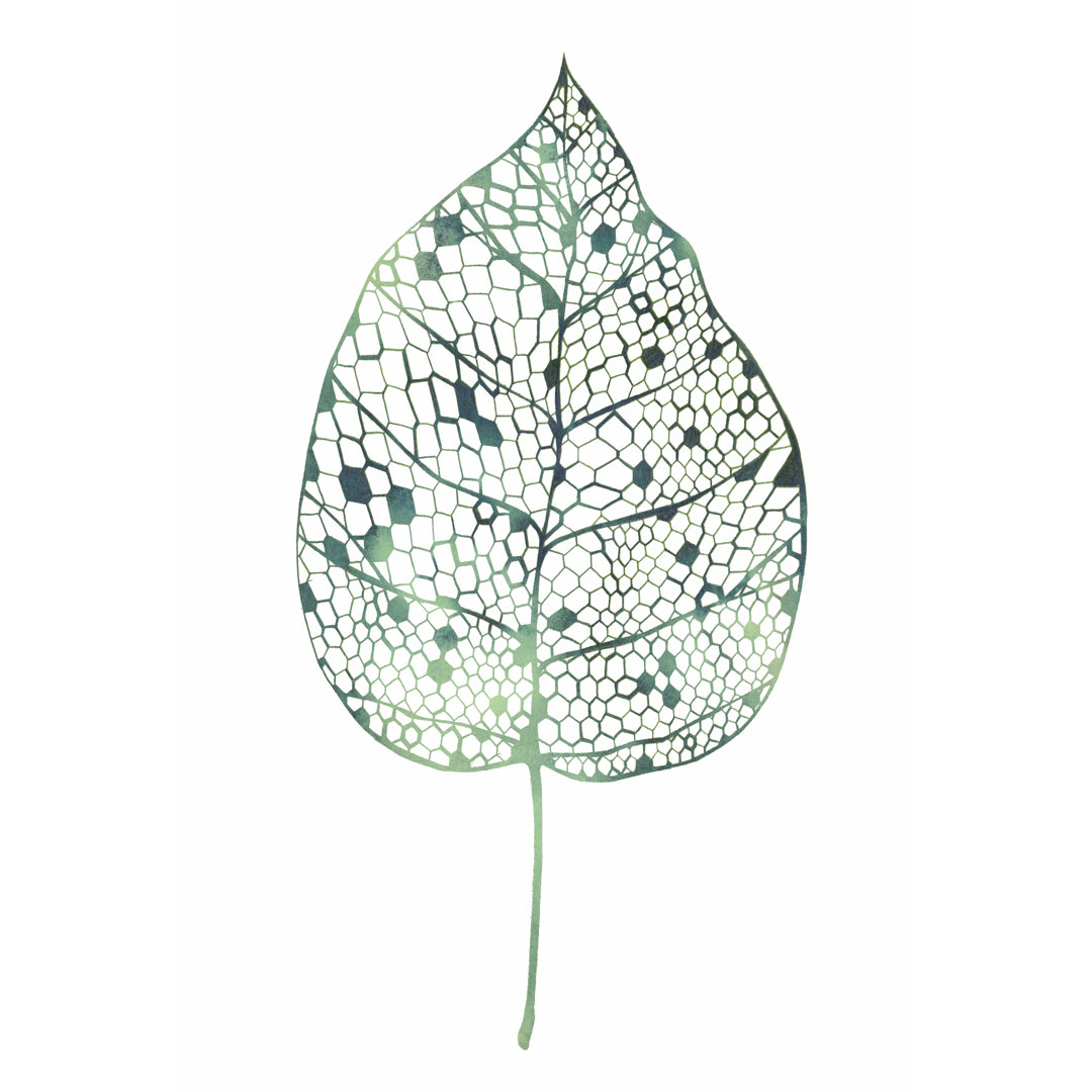 Leinwandbild Veiled Leaf II von Grace Popp