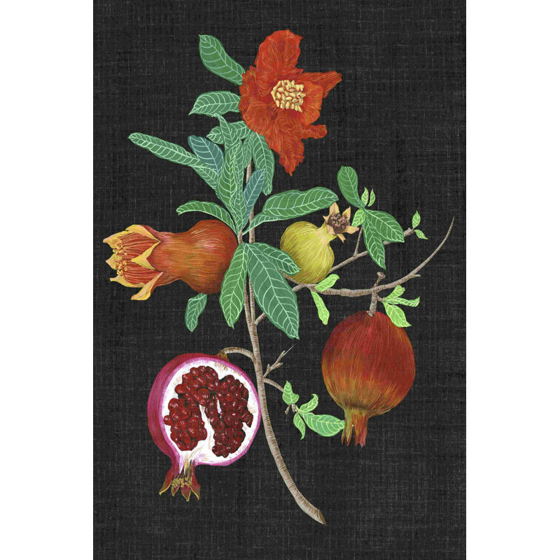 " Pomegranate Study II " by Melissa Wang Painting Print, 18" H x 12" W  