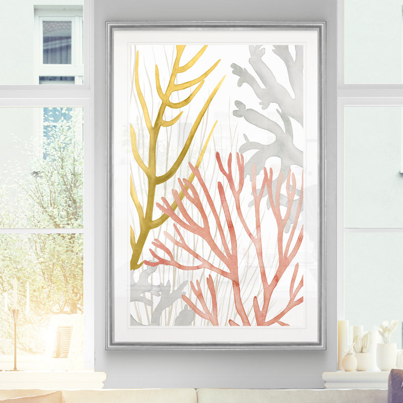 Corail du désert II - Étude nautique antique, encadrée sous verre acrylique, décoration murale côtière pour salon