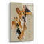 «Basenji» par Barbara Keith, impression sans cadre-1430257031