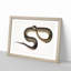 Blue Spotted Snake Illustration by John Edward Gray - Picture Frame Graphic Art Print-55544189-55544190