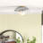 Irene Ceramic Flush Mount