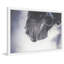 Parvez Taj - Single Picture Frame Print-19701072