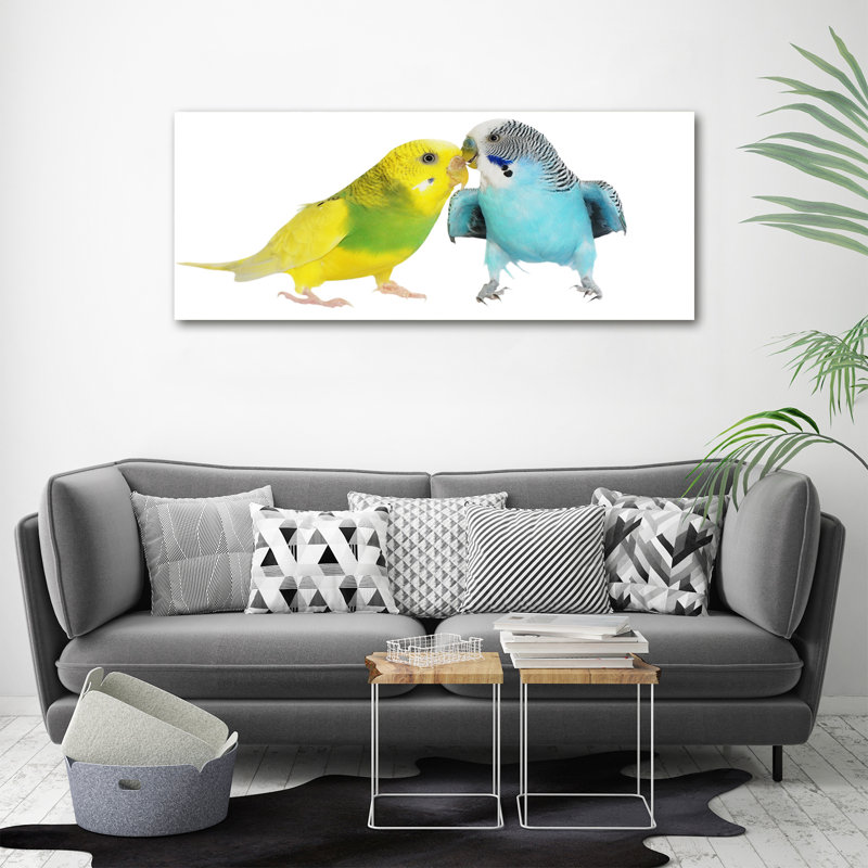 Budgies - No Frame Print on Canvas