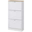 Petite armoire de rangement, armoire de rangement pour chaussures, armoire de rangement dissimulée pour chaussures