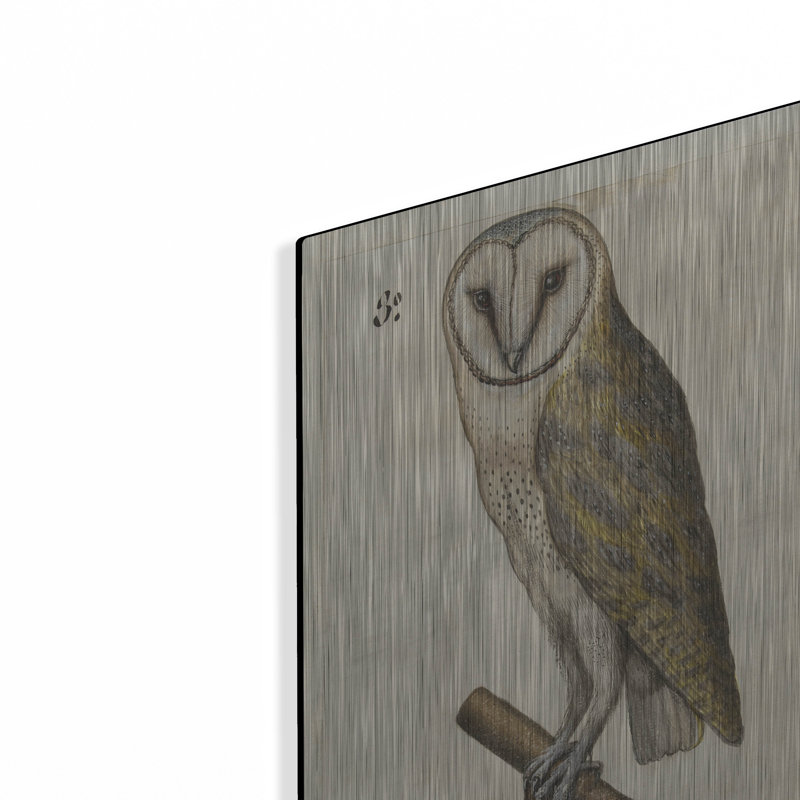 «Barn Owl 1560-1585» par Inconnu, art mural en métal, H 16 po x l 12 po