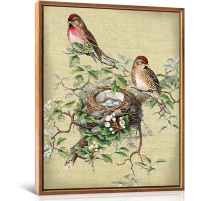 Birds Pictures Wall Decor(12”X16”) Spring Hummingbird Canvas Wall Art Framed Farmhouse Bird Botanical Art Prints Bird Nest Eggs Poster Birds Themed Vintage Framed Art For Bedroom Living Room