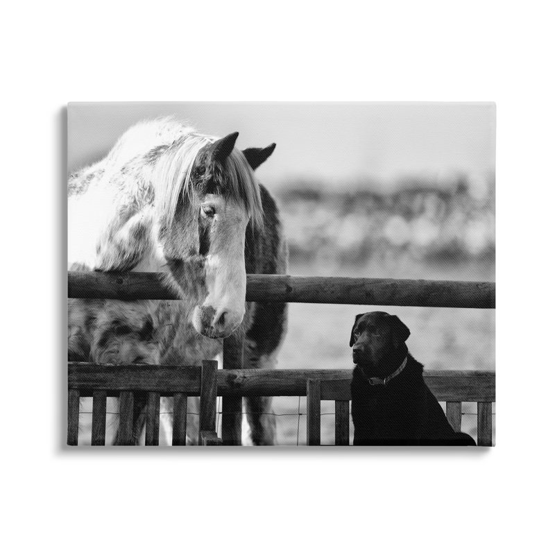 «Dog & Horse Farm Animal Friends» par James Dobson - photographie à cadre flottant, H 36 po x l 48 po x P 1,5 po