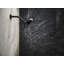 Statement Shower Arm And Flange-1006405500