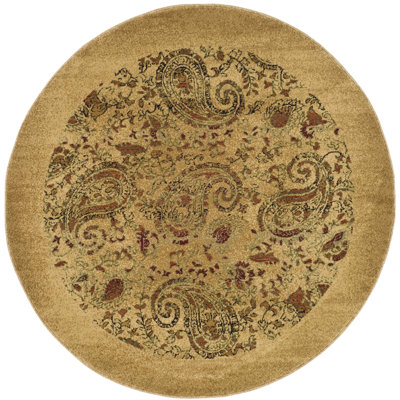 Klose Performance Paisley Rug