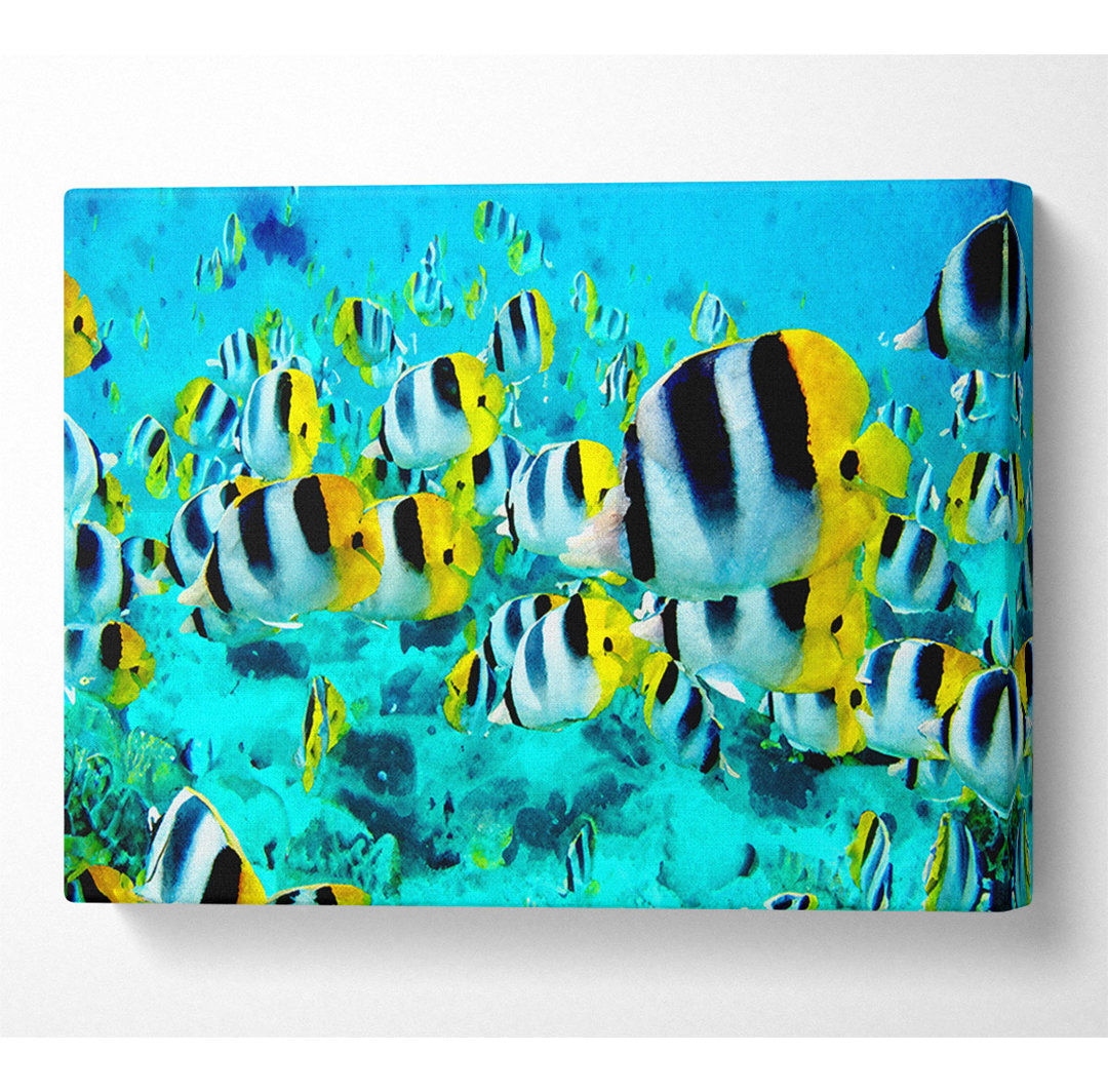 Fish Fury - Kunstdrucke auf Leinwand - Wrapped Canvas