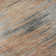 Premium Machine Washable Prisco Salmon Rug