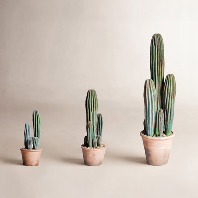 Faux Cactus Succulent in Terracotta Pot