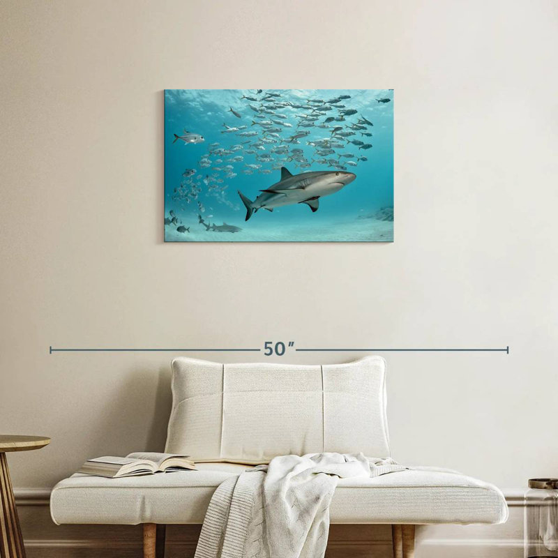 Brampt Caribbean Fish And Sharks, 20" H x 30" W