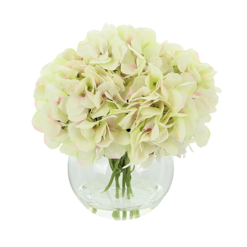 Hortensia de Carruth dans un vase
